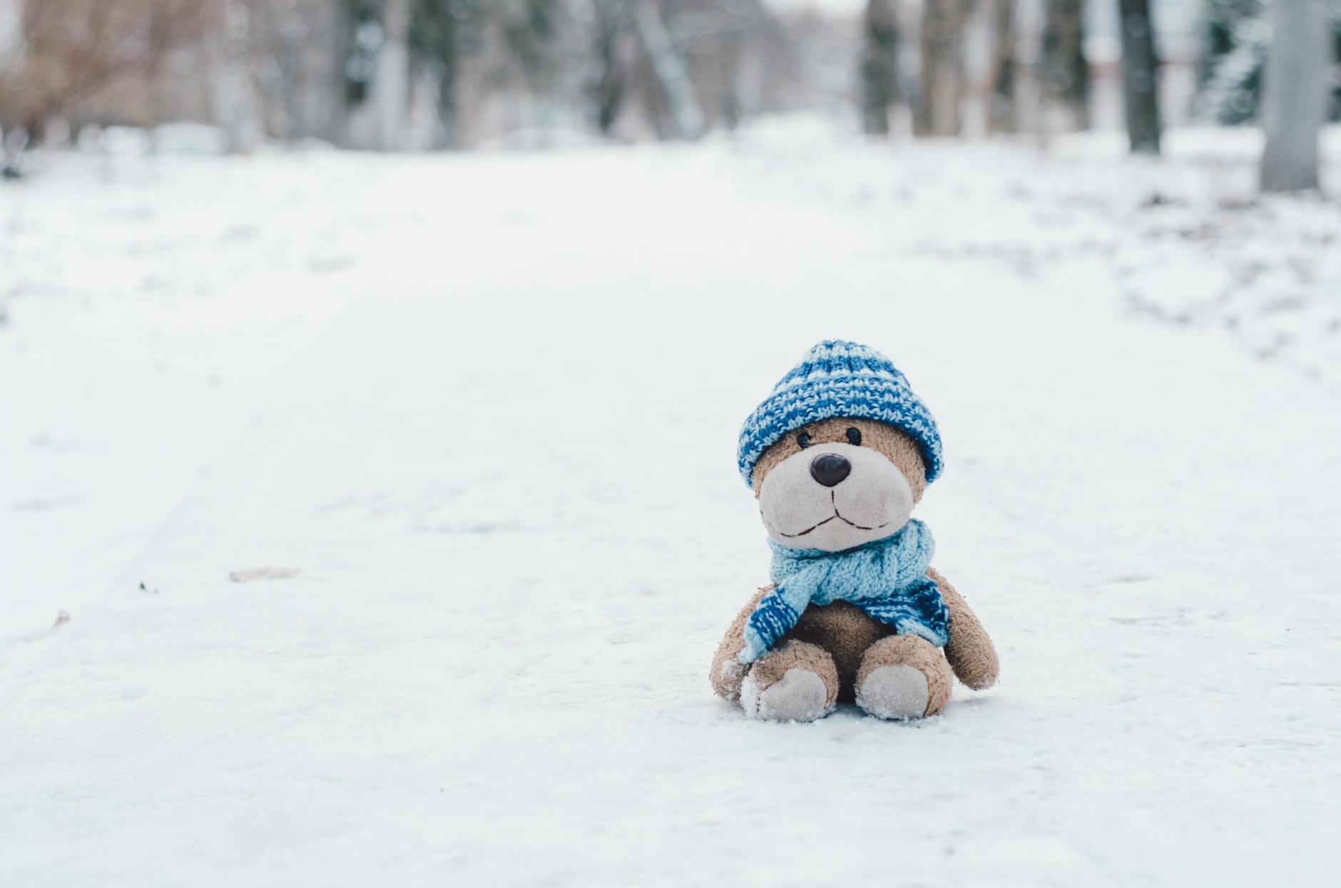 stuffed toy on snow